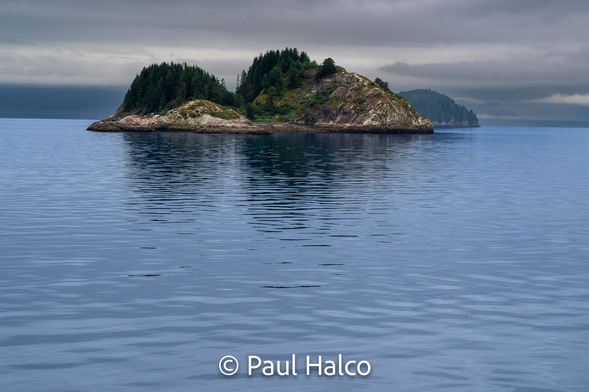 Paul Halco - Glacier Bay NP-5